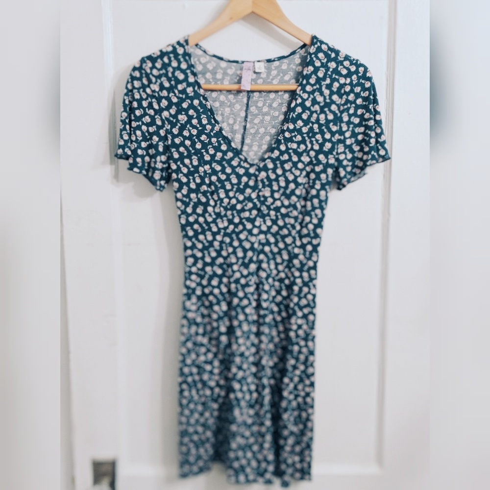 Francesca's Dress